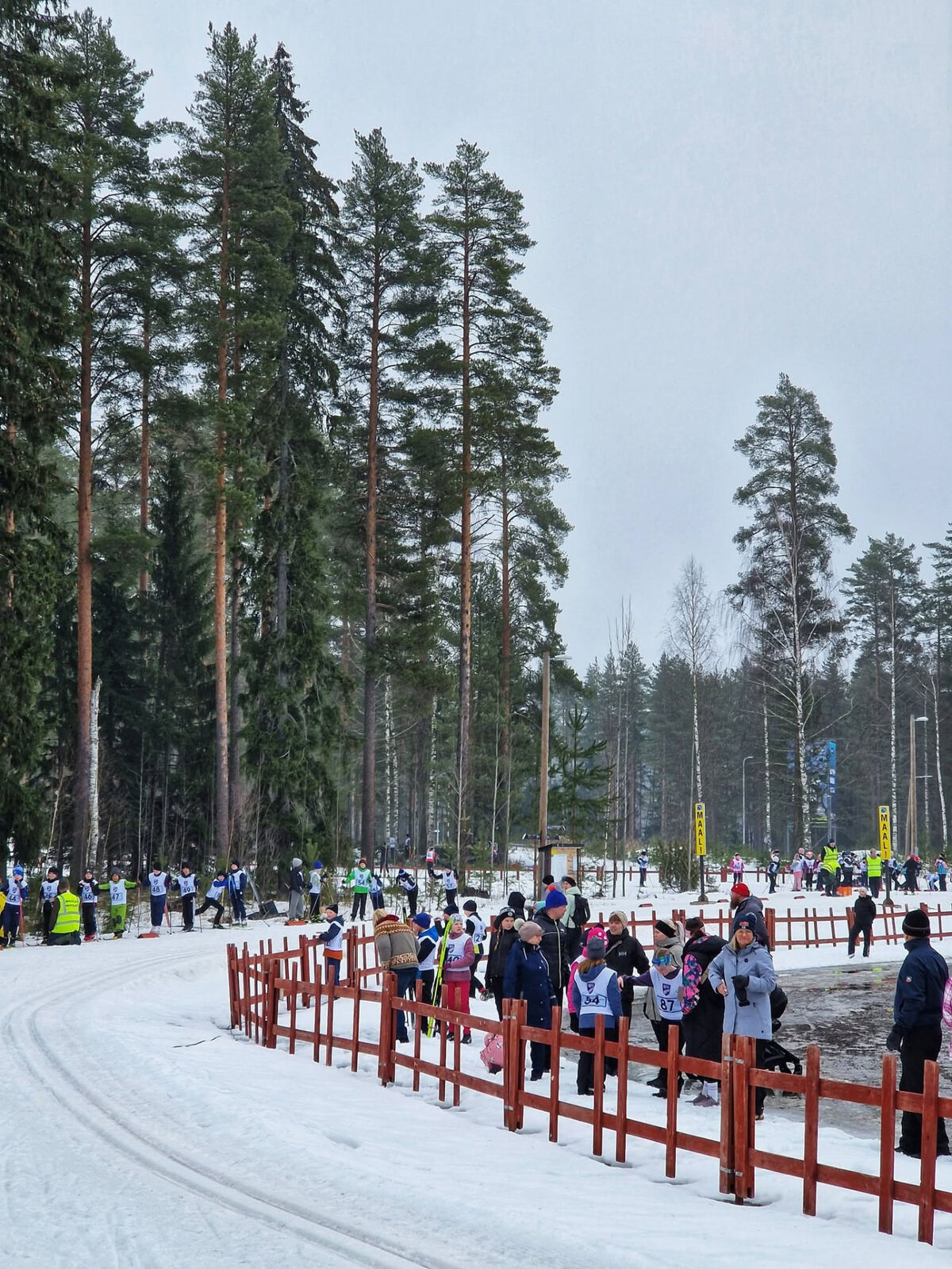 Young skiers and spectators along a fenced ski track among tall pines